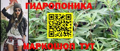 винт Кингисепп